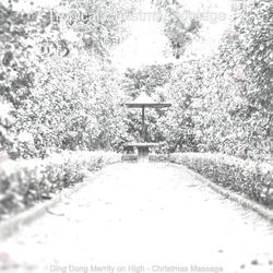 Ding Dong Merrily on High, Chrismas Shopping