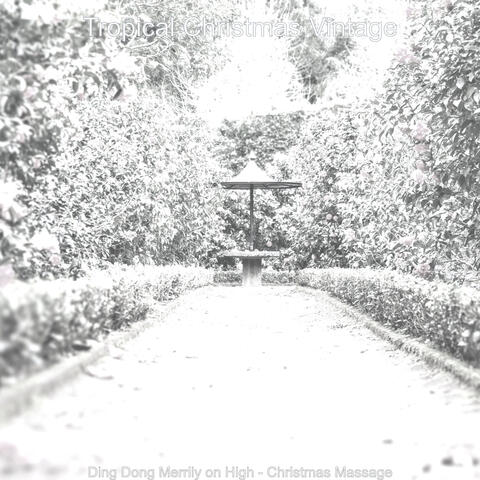 Tropical Christmas Vintage