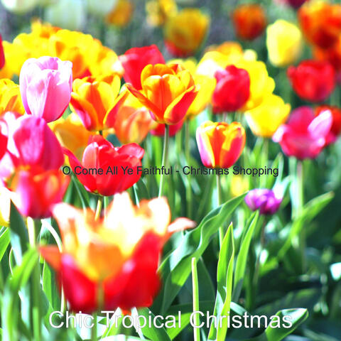 O Come All Ye Faithful - Chrismas Shopping
