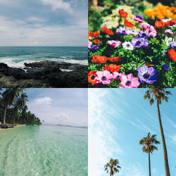 Christmas at the Beach The First Nowell