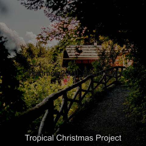 Christmas 2020, Silent Night