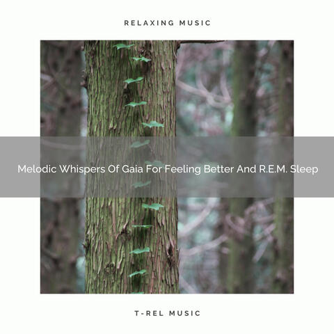 Melodic Whispers Of Gaia For Feeling Better And R.E.M. Sleep