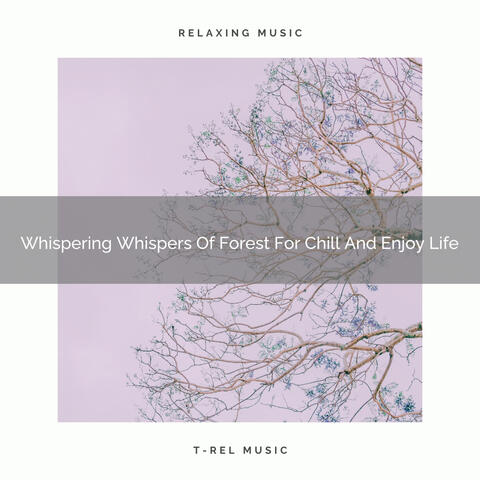 Whispering Whispers Of Forest For Chill And Enjoy Life