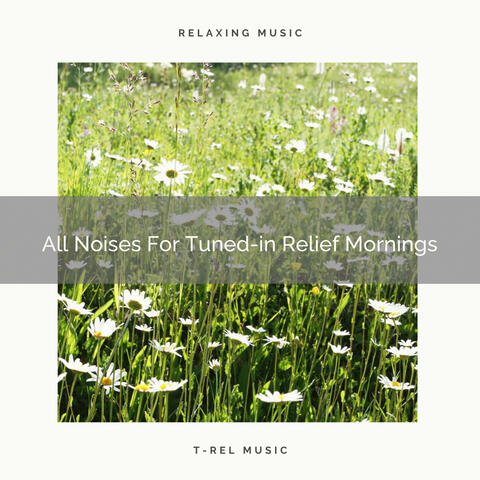 All Noises For Tuned-in Relief Mornings