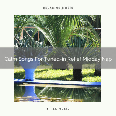 Calm Songs For Tuned-in Relief Midday Nap