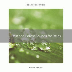Rain and Forest Sounds