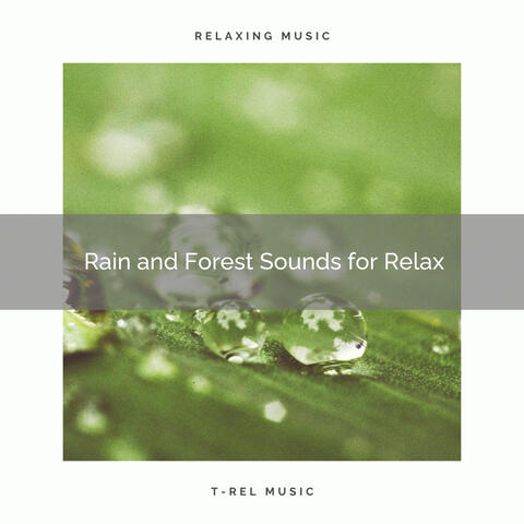 Rain and Forest Sounds for Relax