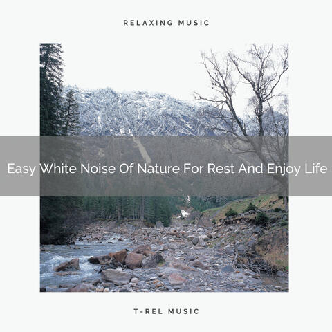 Easy White Noise Of Nature For Rest And Enjoy Life