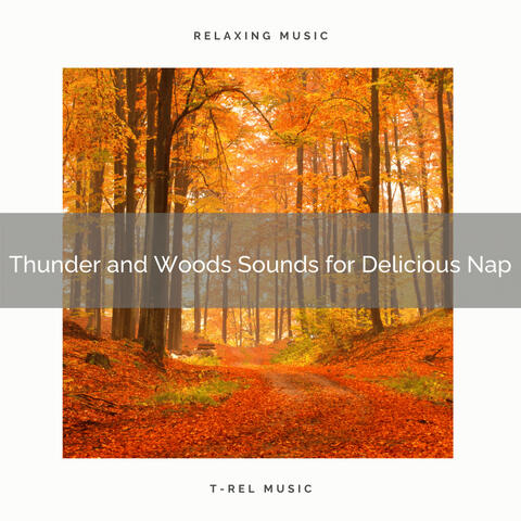 Thunder and Woods Sounds for Delicious Nap