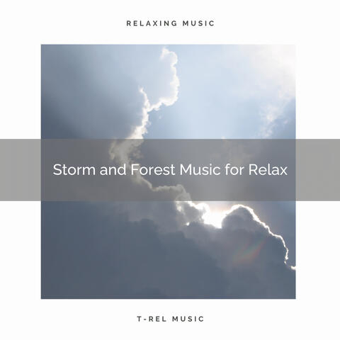 Storm and Forest Music for Relax