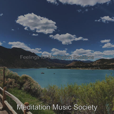 Feelings for Meditation Sessions