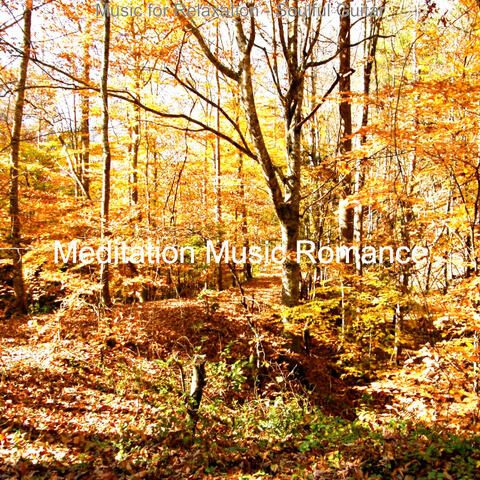 Music for Relaxation - Soulful Guitar