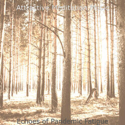 Harp New Age Music Soundtrack for Meditation Sessions