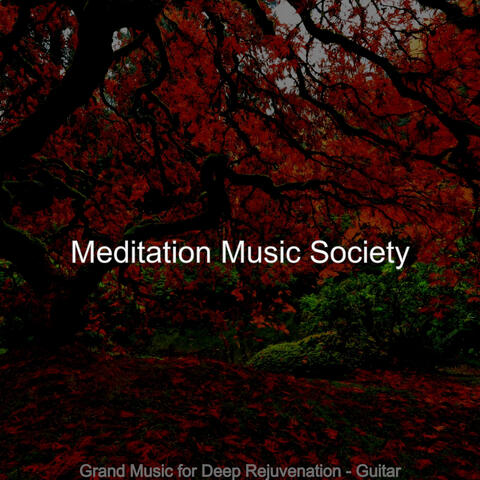 Grand Music for Deep Rejuvenation - Guitar
