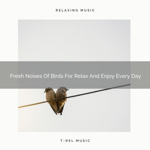 Fresh Noises Of Birds For Relax And Enjoy Every Day