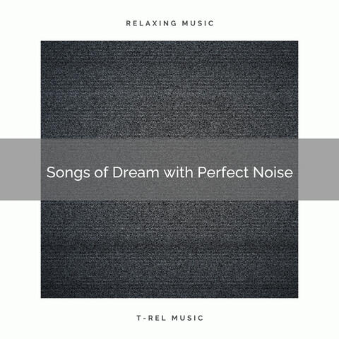 Songs of Dream with Perfect Noise