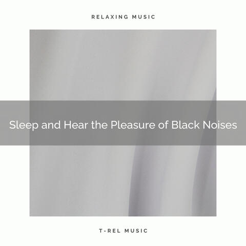 Sleep and Hear the Pleasure of Black Noises
