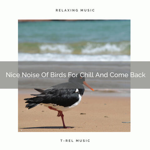 Nice Noise Of Birds For Chill And Come Back