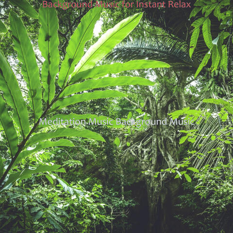 Background Music for Instant Relax