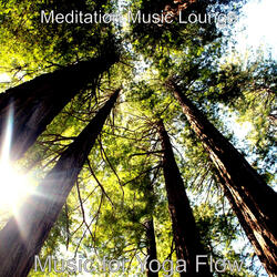 Playful True Meditation