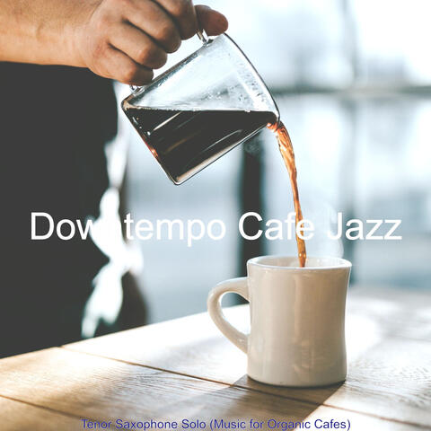 Tenor Saxophone Solo (Music for Organic Cafes)