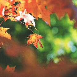 Cheerful Moods for Weekends