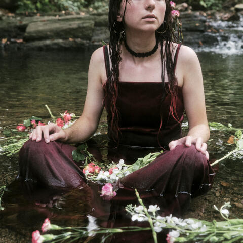 Harmony Woods