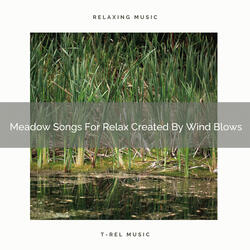 Mother Earth Calls With Rain And Meadow Noises