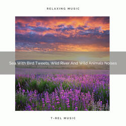 The Sounds Of Love And River