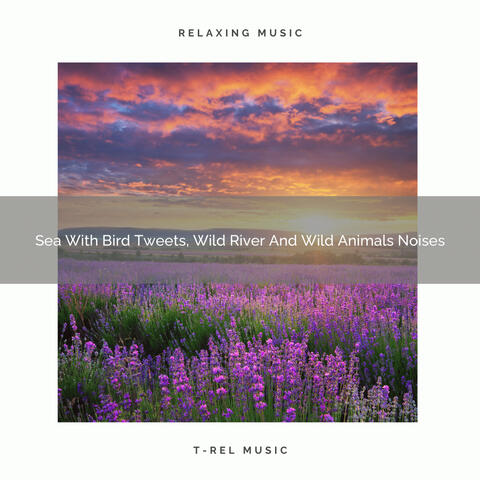 Nature Music: Nature Sounds
