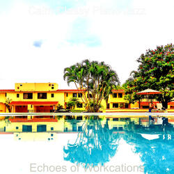 Peaceful Ambience for Cocktail Bars