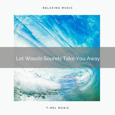 Let Woods Sounds Take You Away