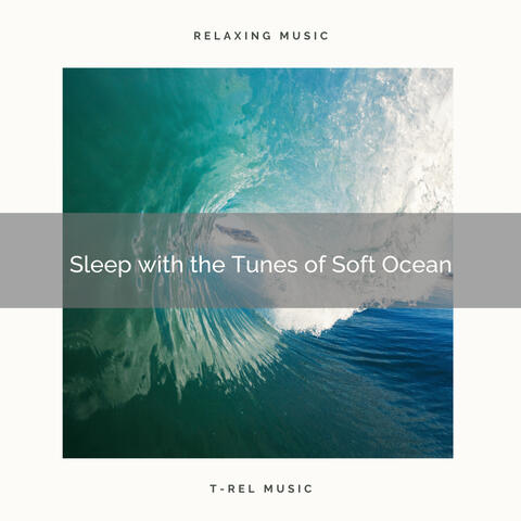Sleep with the Tunes of Soft Ocean