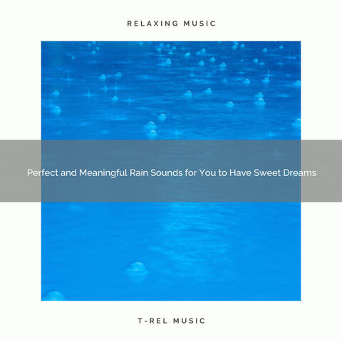 2020 Best: Perfect and Meaningful Rain Sounds for You to Have Sweet Dreams