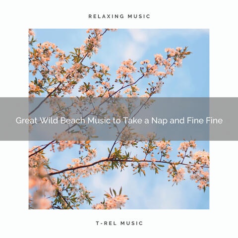 2020 Best: Great Wild Beach Music to Take a Nap and Fine Fine