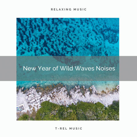 2020 Best: New Year of Wild Waves Noises