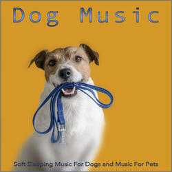 Relaxing Piano Music for Pets