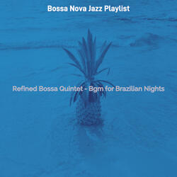 Warm Music for Brazilian Nights