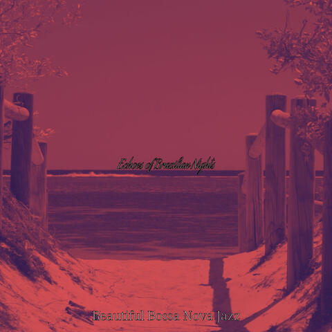 Echoes of Brazilian Nights