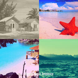 Incredible West Indian Steel Drum Music - Vibe for Summer