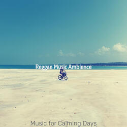 Casual Backdrops for Calming Days