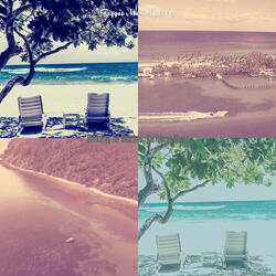 Opulent Ambiance for Summer