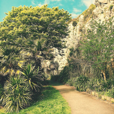 Music for Relaxing (Guitar)