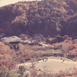 Dashing Moods for Relaxing Moods