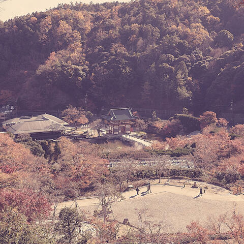 Opulent Background for Relaxing Moods