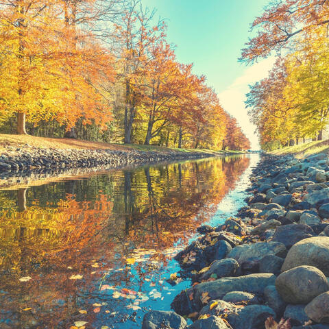 Music for Relaxing Moods - Guitar