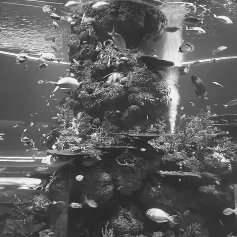 Feelings for Unwinding