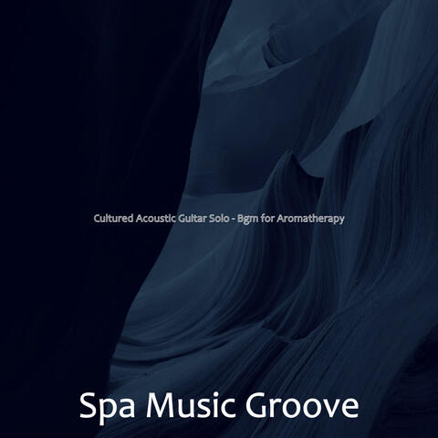 Cultured Acoustic Guitar Solo - Bgm for Aromatherapy