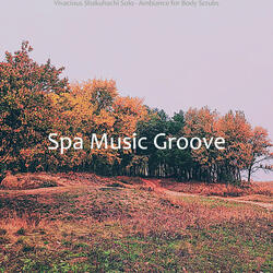 Outstanding Ambience for Aromatherapy