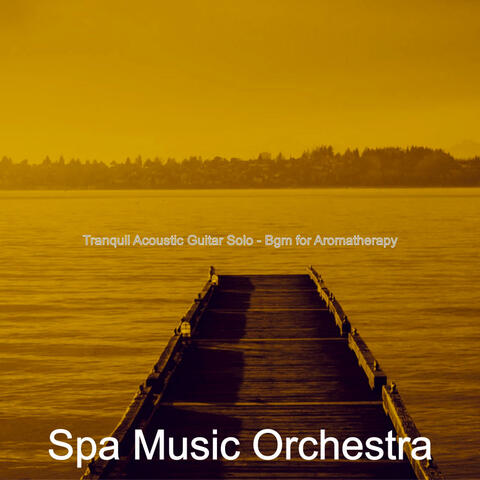 Tranquil Acoustic Guitar Solo - Bgm for Aromatherapy